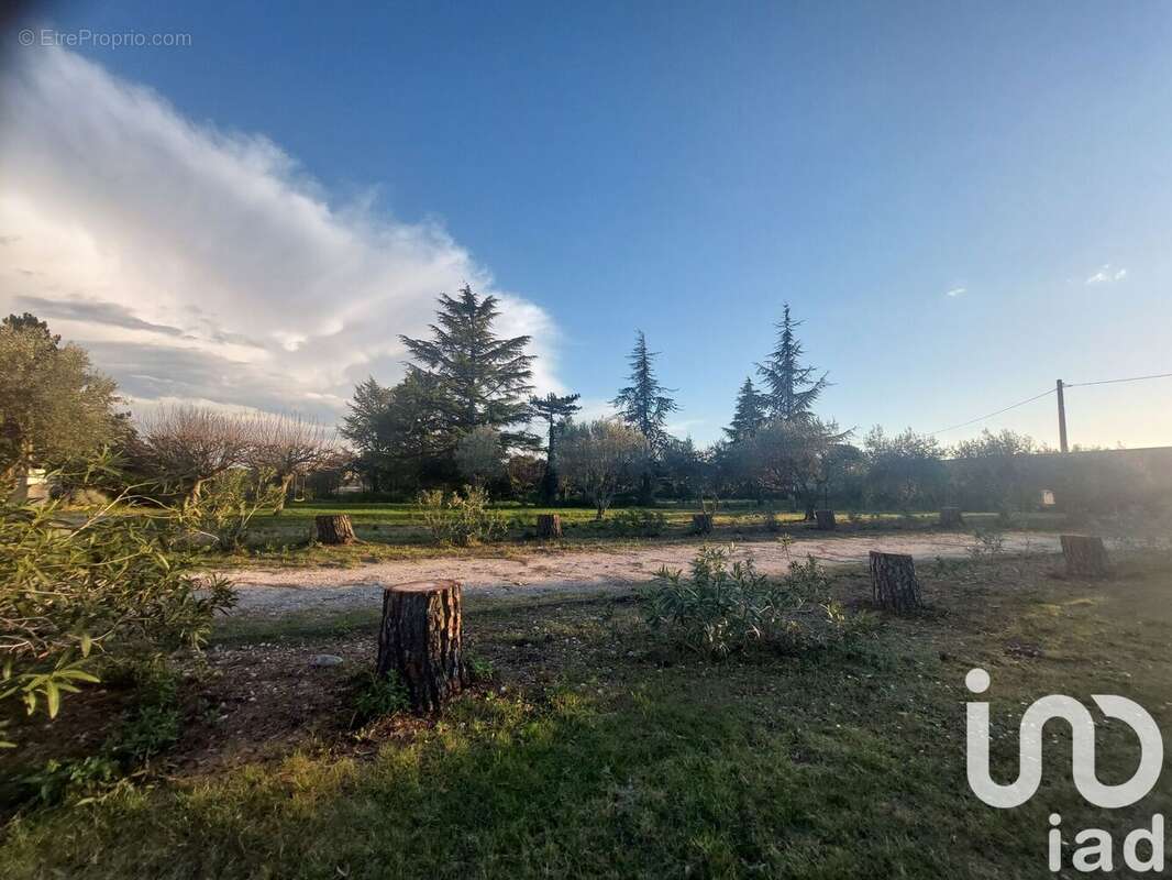 Photo 3 - Terrain à CARPENTRAS