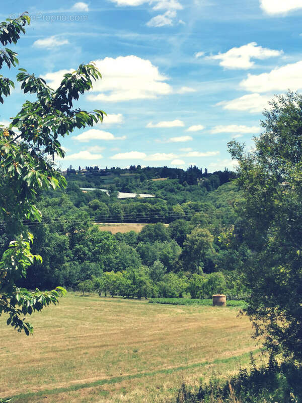 Maison d'artiste avec jardin botanique, source - Terrain 1,6 hectare - photo 13