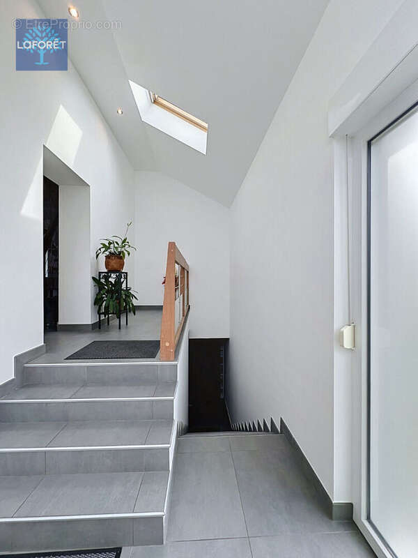 Maison Lampertheim 6 pièce(s) 257 m2 - photo 15