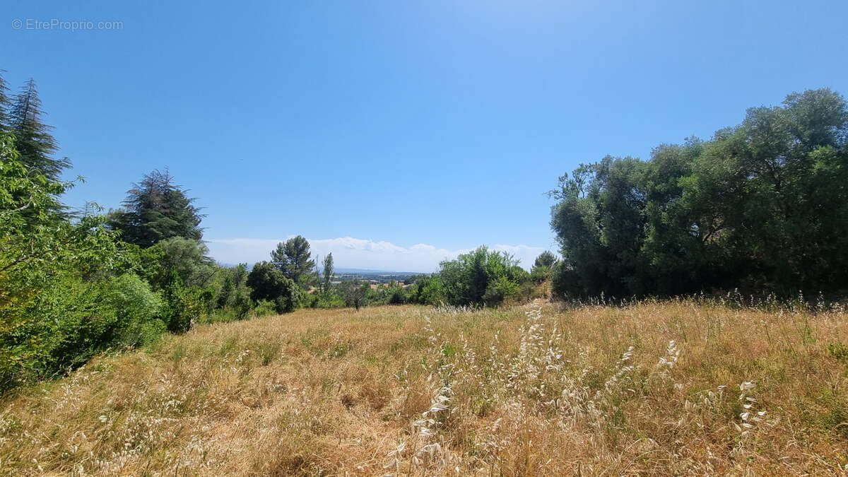 Terrain constructible arboré de 1 690 m2 hors lotissement à Caunes-Minervois - photo 2
