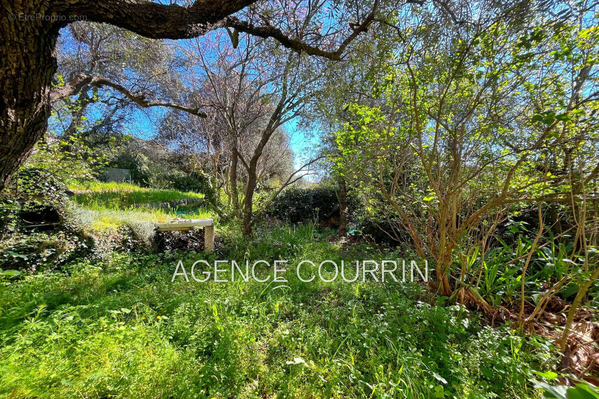 Maison à SAINT-CEZAIRE-SUR-SIAGNE