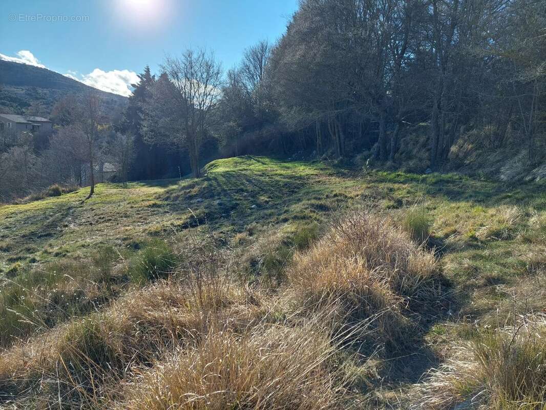 Terrain à COURSEGOULES