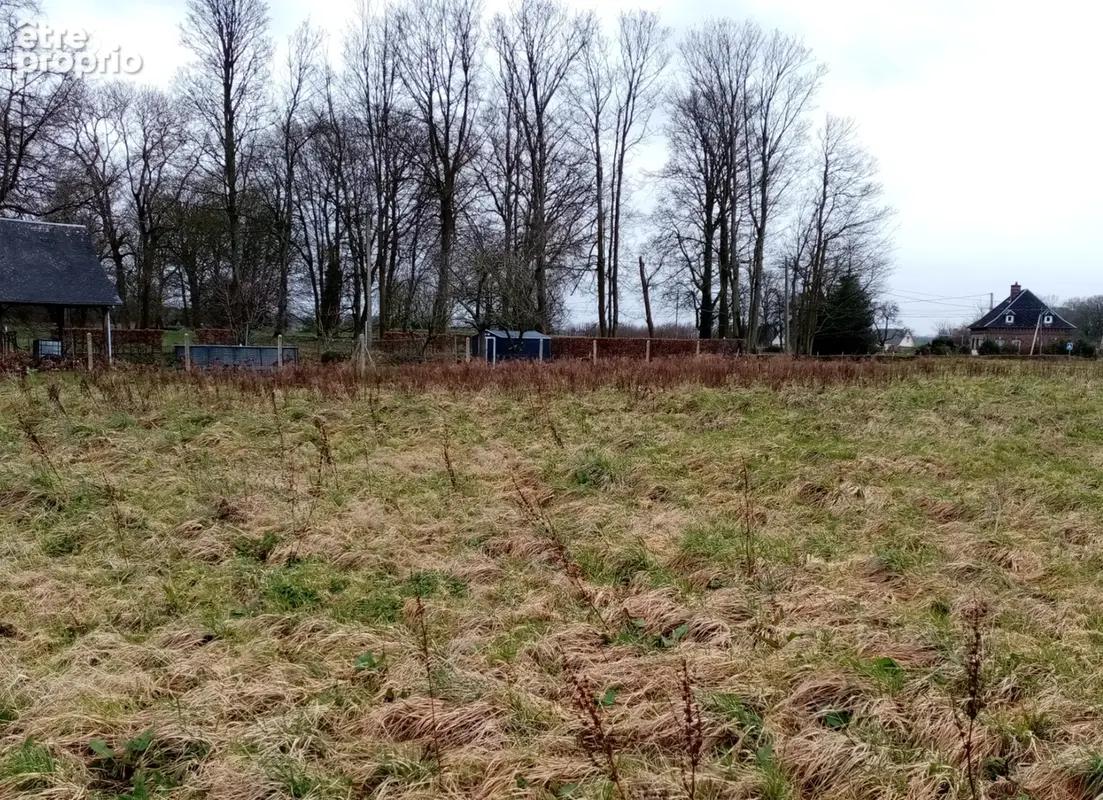 Terrain à FAUVILLE-EN-CAUX
