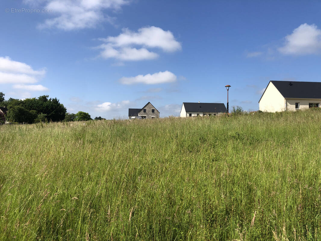 Terrain à AZAY-SUR-CHER