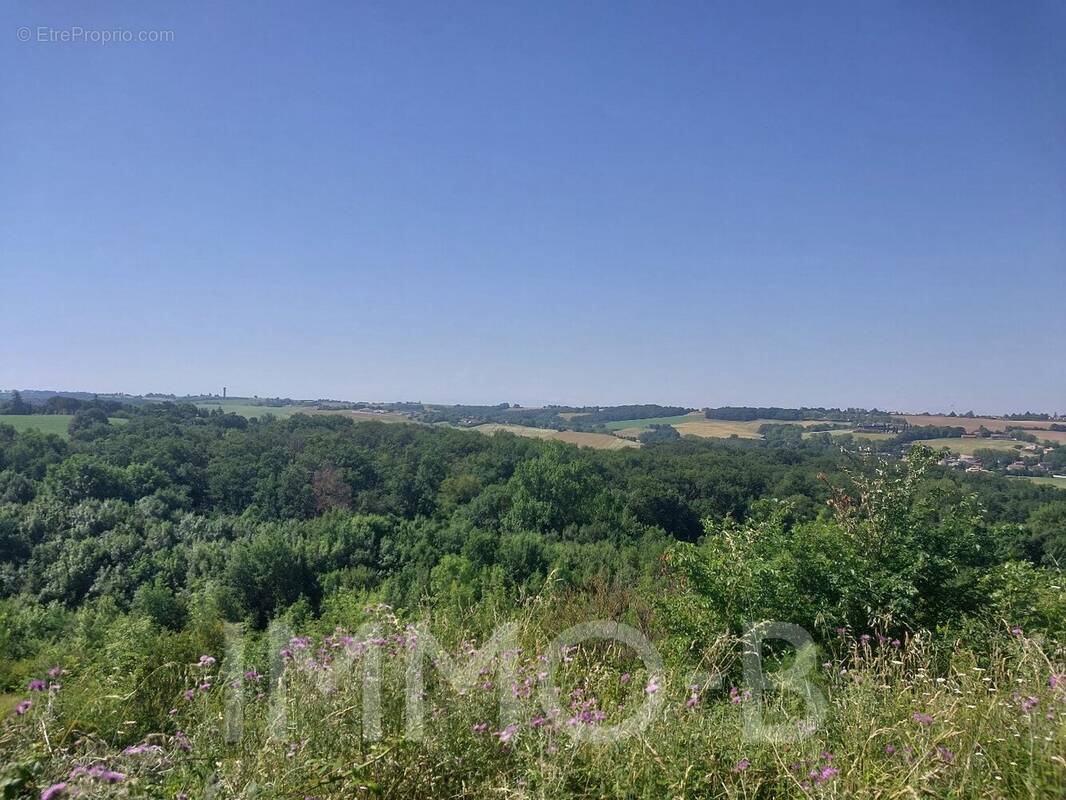 Terrain à AUREVILLE