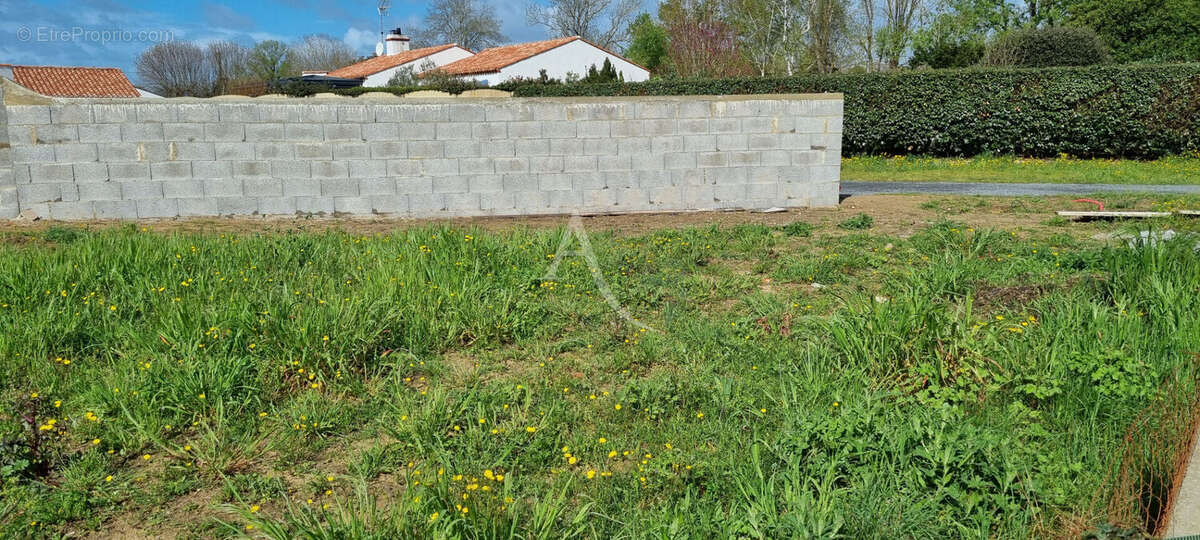 Terrain Saint Hilaire De Riez 500 m2 - photo 3