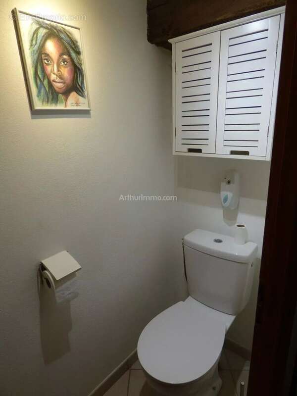 Maison à L&#039;ISLE-SUR-SEREIN