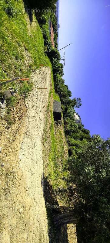 Terrain 440 m² à Saint-Laurent-Du-Var  - photo 2