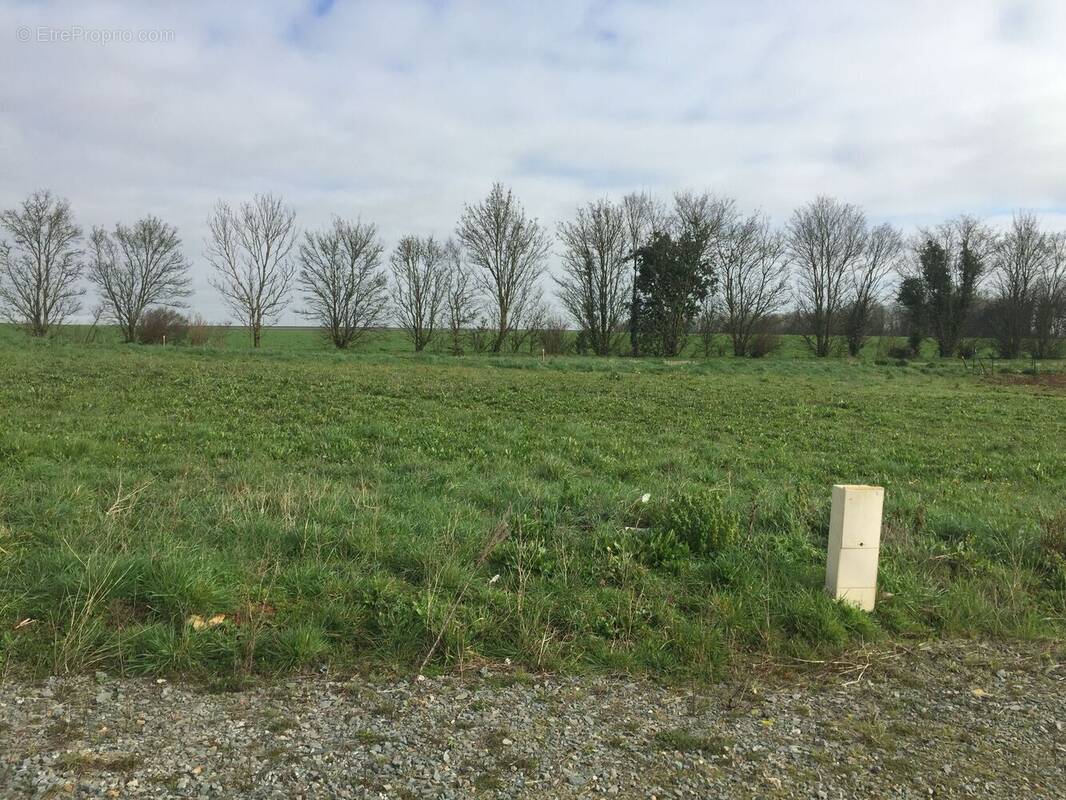 Terrain à NALLIERS