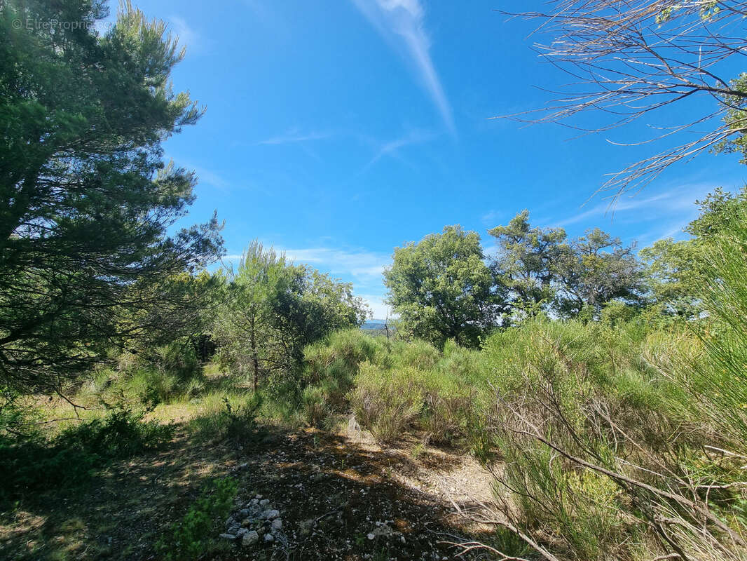 Terrain à BAUDINARD-SUR-VERDON