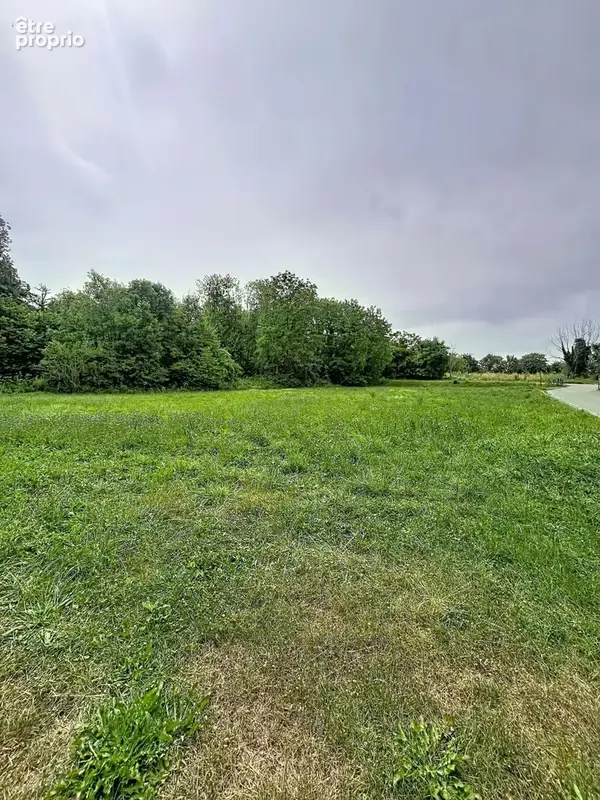 Photo 1 - Terrain à LOISY-SUR-MARNE