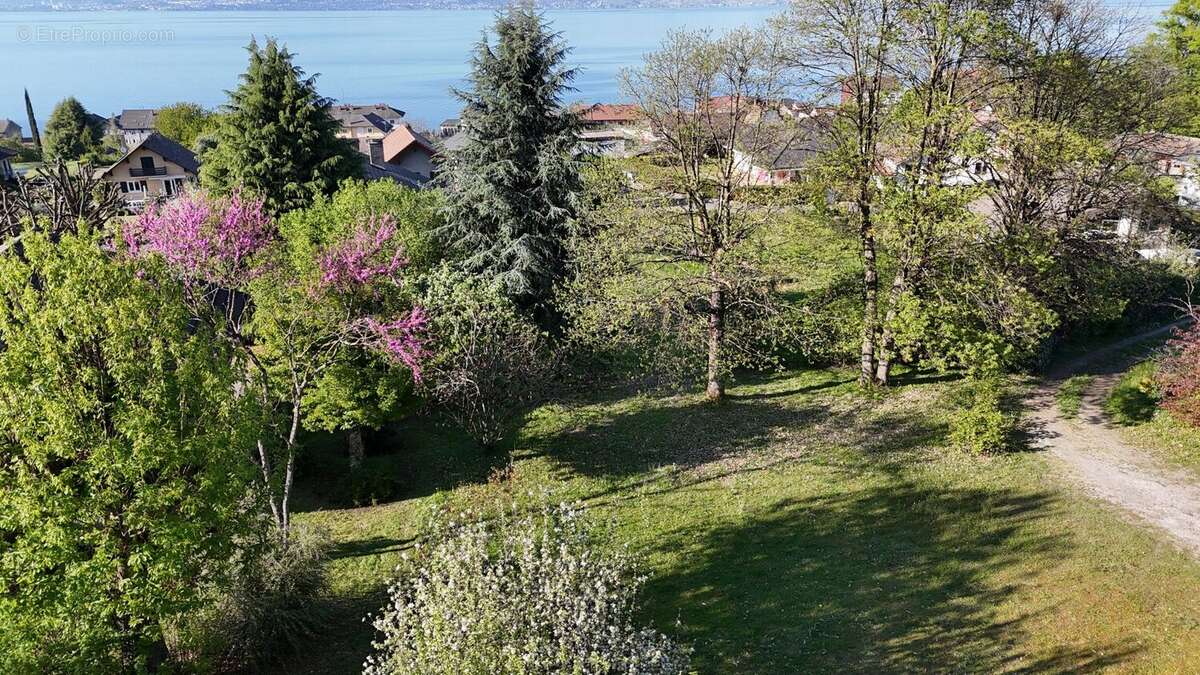 Terrain à LUGRIN