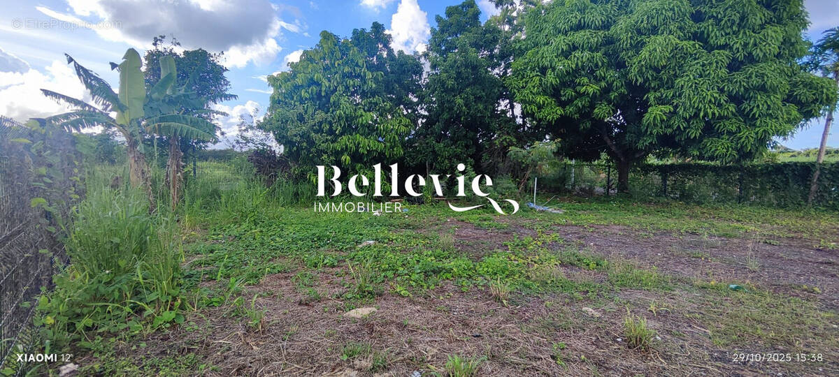 Terrain à BAIE-MAHAULT