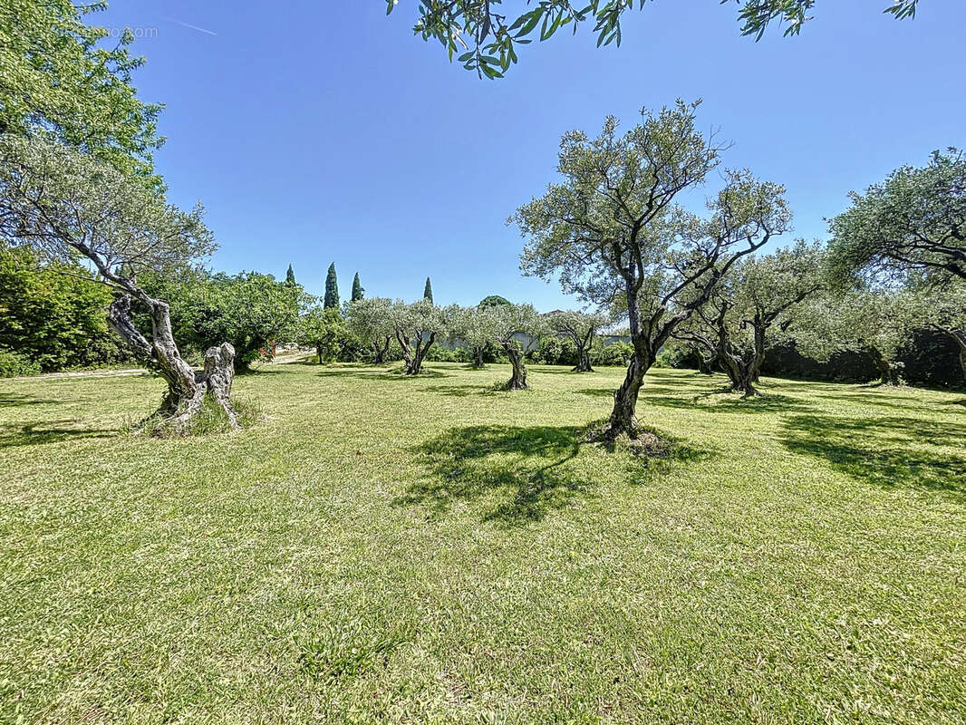 En exclusivité , un beau terrain constructible sur les hauteurs de Pernes-les-Fontaines - photo 5