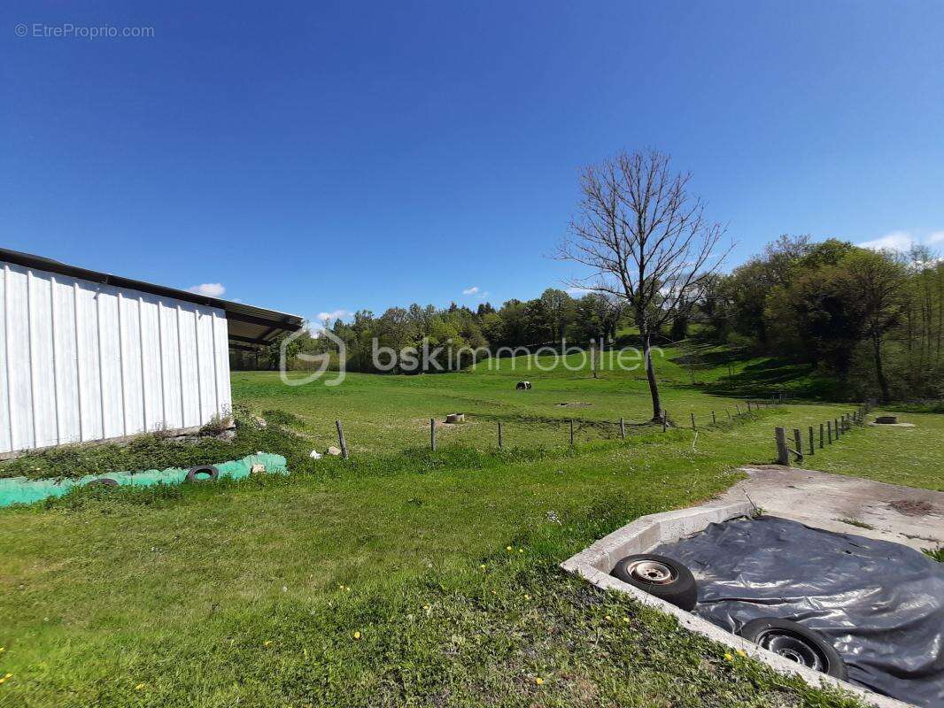 Terrain à CHAILLAC-SUR-VIENNE
