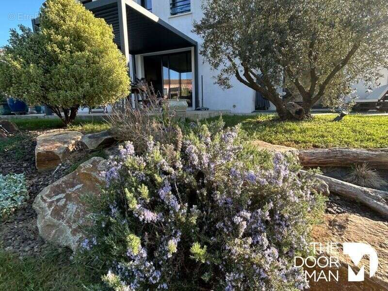 Maison à SAINTE-PAZANNE