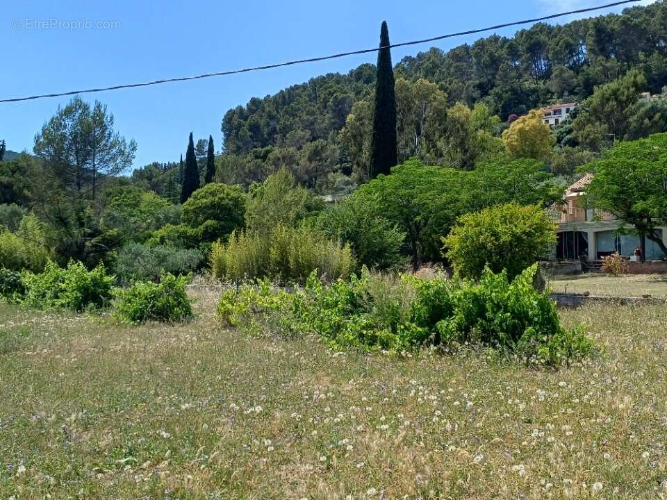 Terrain à SOLLIES-PONT