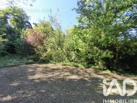 Photo 3 - Terrain à MALESHERBES