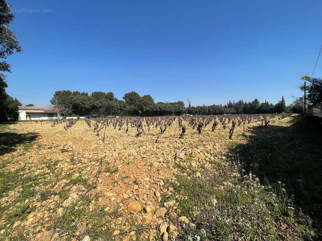 Terrain à SORGUES