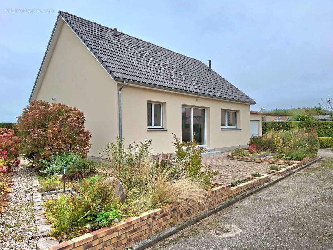 Maison à BRACQUEMONT