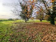 Terrain à CHATEAUNEUF-EN-THYMERAIS