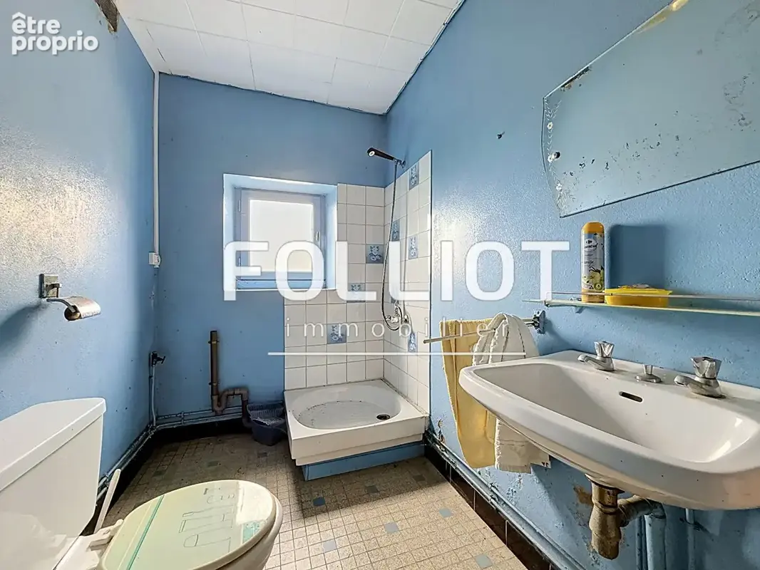 A VENDRE Maison avec terrain 50 000m²  -  Torigny Les Villes - photo 7