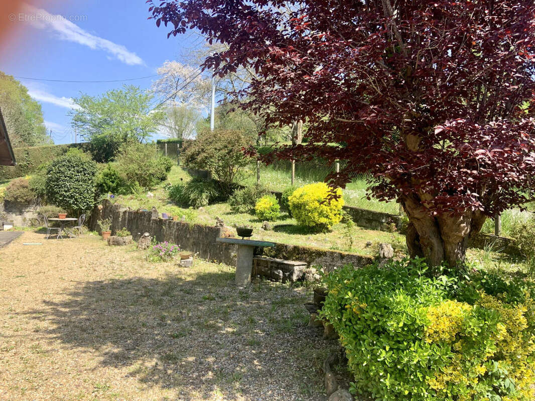 IMG_2434 - Maison à OLORON-SAINTE-MARIE