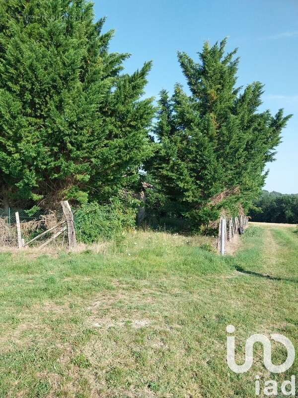 Photo 2 - Terrain à CAZES-MONDENARD