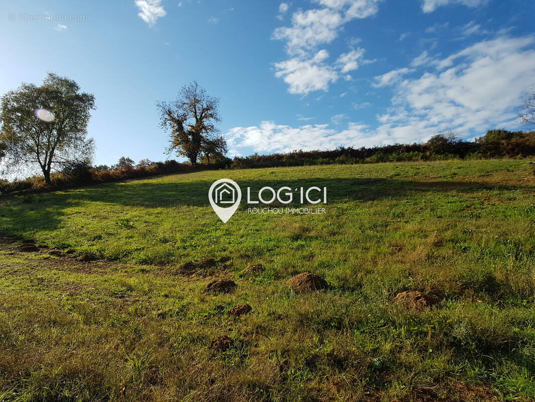 Terrain à VIELLENAVE-D'ARTHEZ