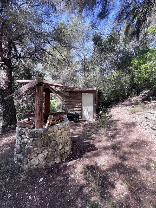 Au Coeur de la Nature ! - photo 8