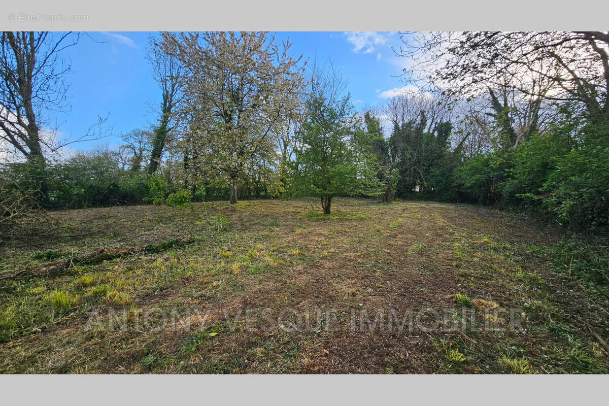 Terrain à AGON-COUTAINVILLE