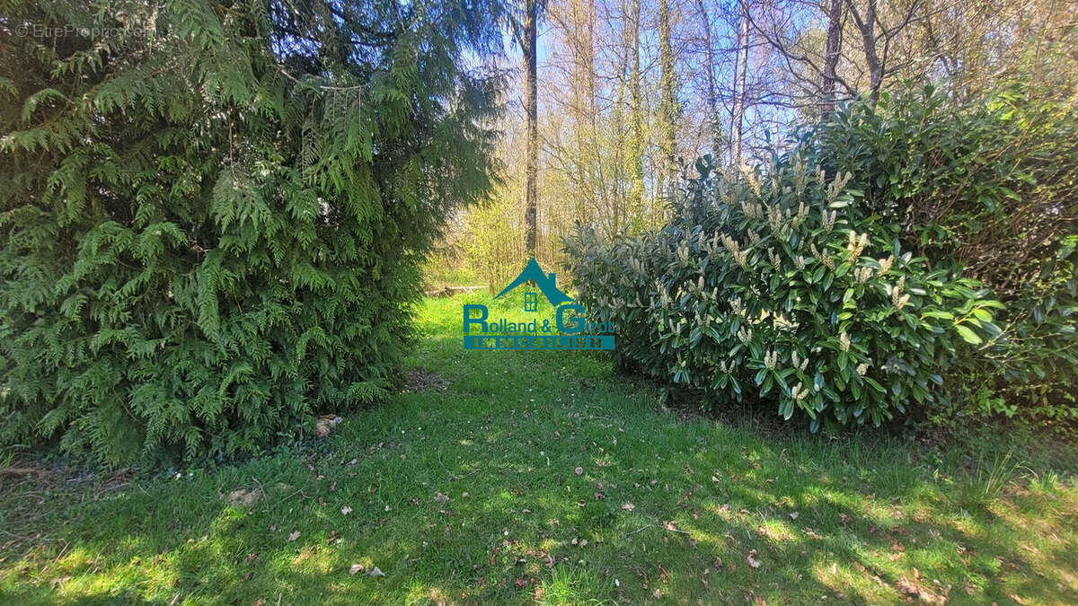 À vendre : Magnifique étang avec parcelle de lande à Sens de Bretagne - photo 5