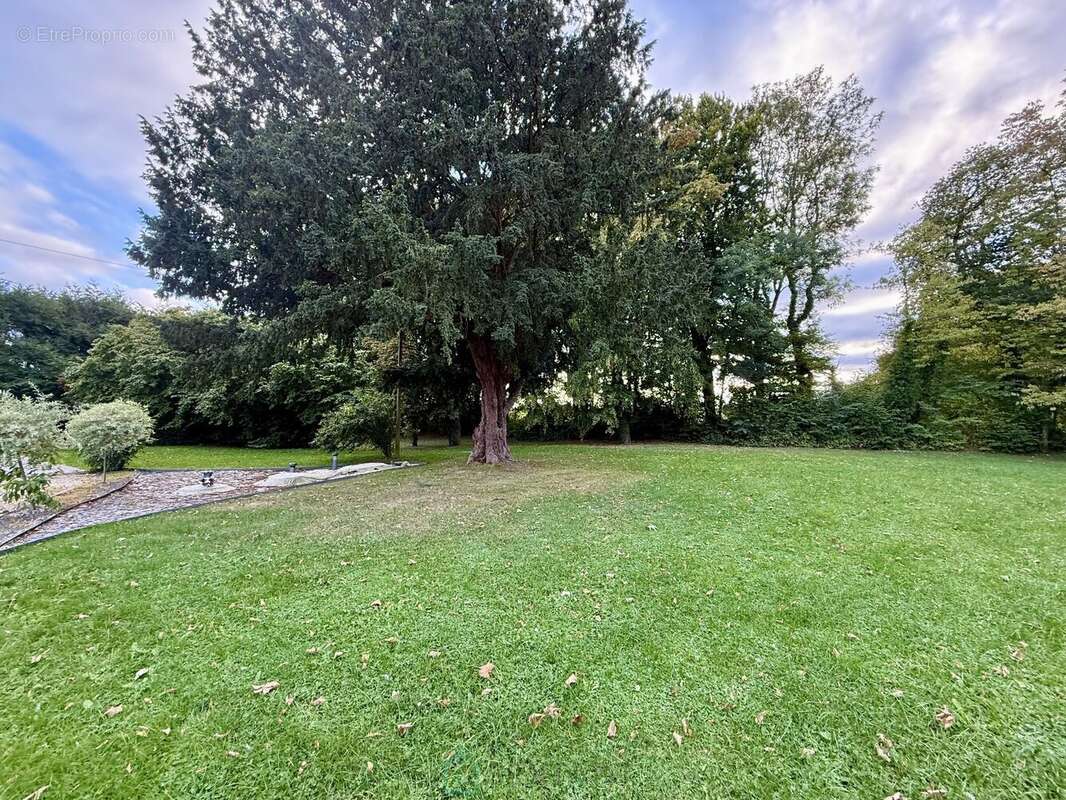 Maison à ANCEAUMEVILLE