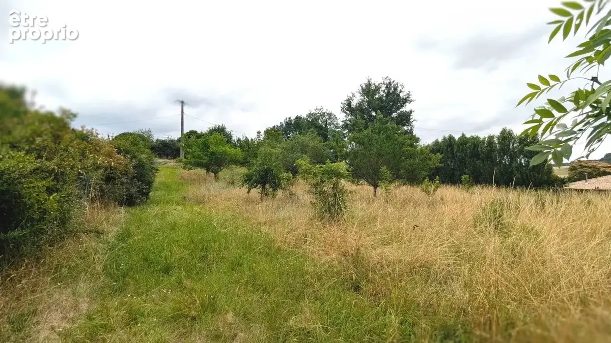 Paysage champêtre avec un sentier herbeux bordé de buissons et d'arbres sous un ciel nuageux.