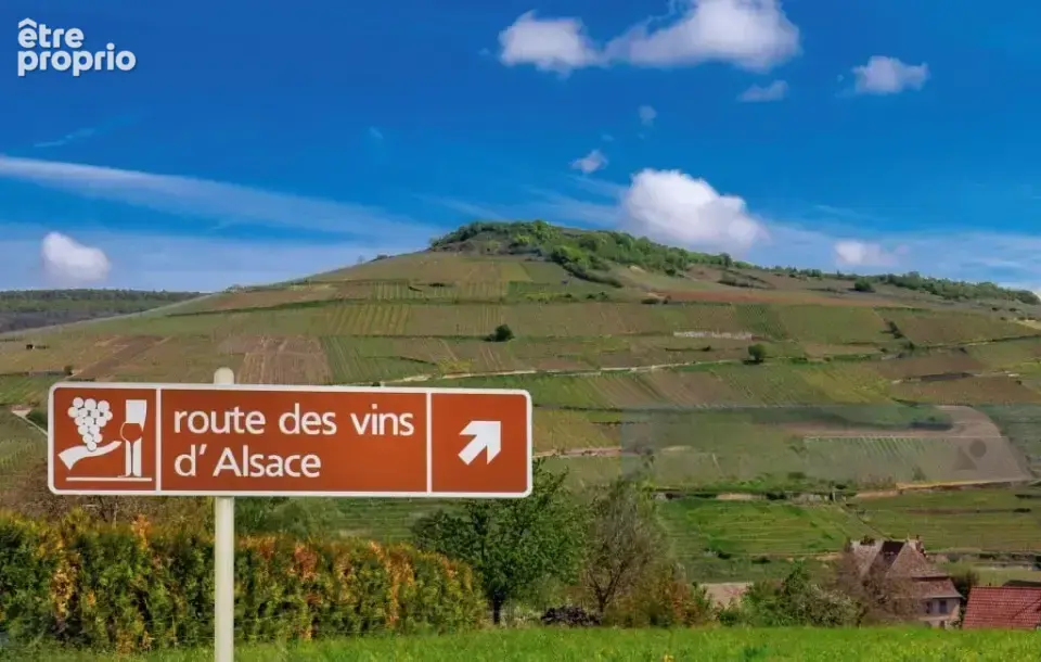 Terrain à CHATENOIS