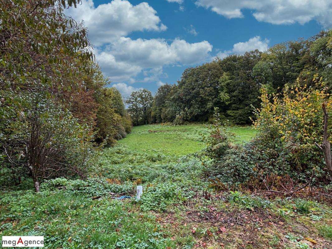 Maison à PERPEZAC-LE-NOIR