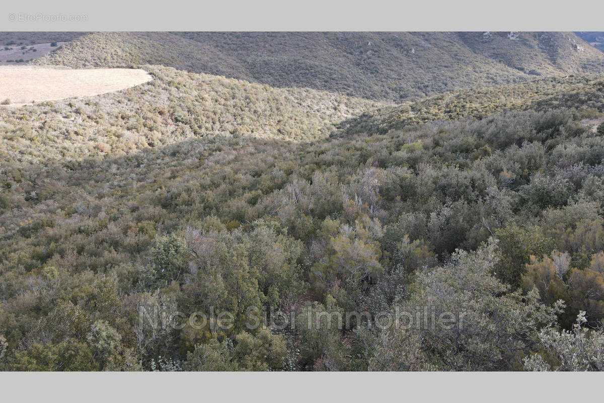 Terrain à RASIGUERES