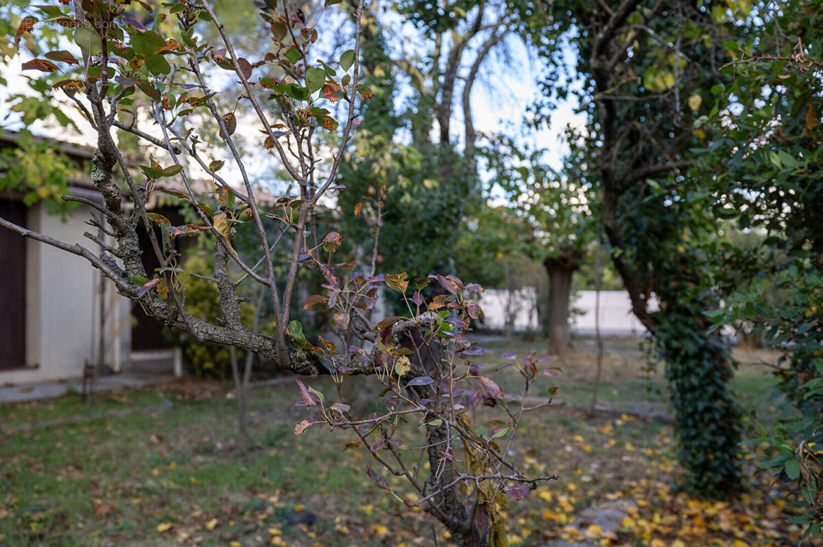Maison à SAINT-GELY-DU-FESC