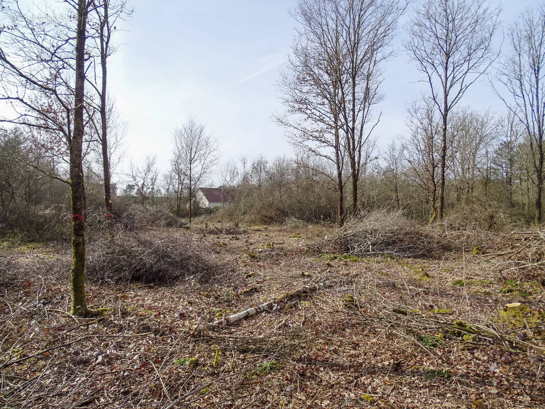 Terrain à VILLEFRANCHE-SUR-CHER
