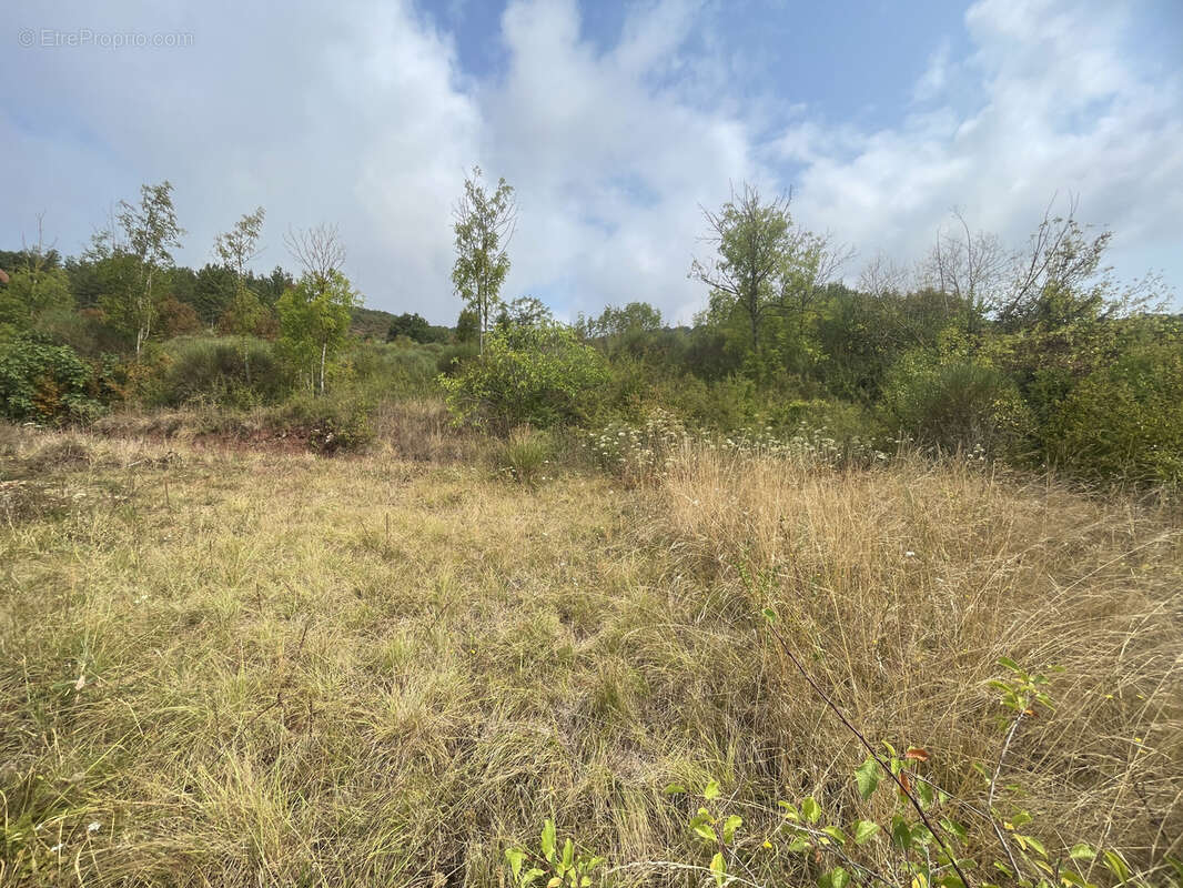 Vente terrains constructibles viabilisés Saint Affrique - photo 4
