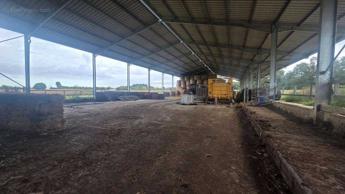 Photo 7 - Terrain à BAUGE