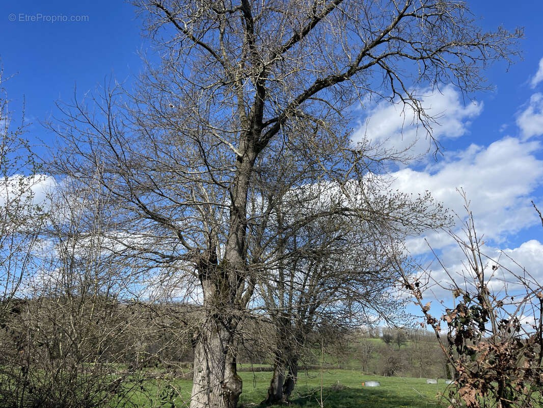 Maison à MARCILLAT-EN-COMBRAILLE