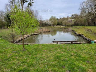 Terrain à ARGOEUVES