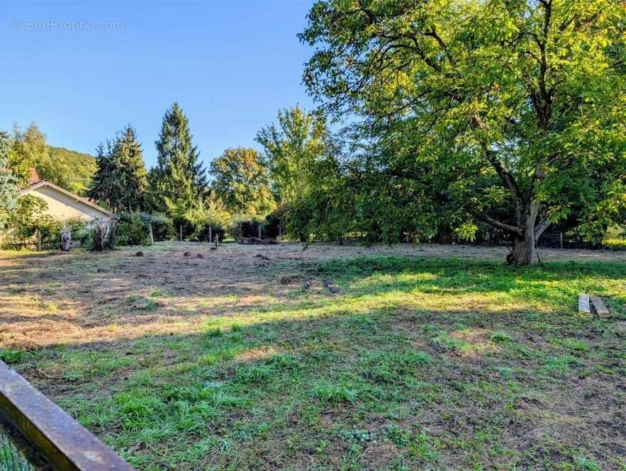 Terrain à DAMPIERRE-EN-YVELINES