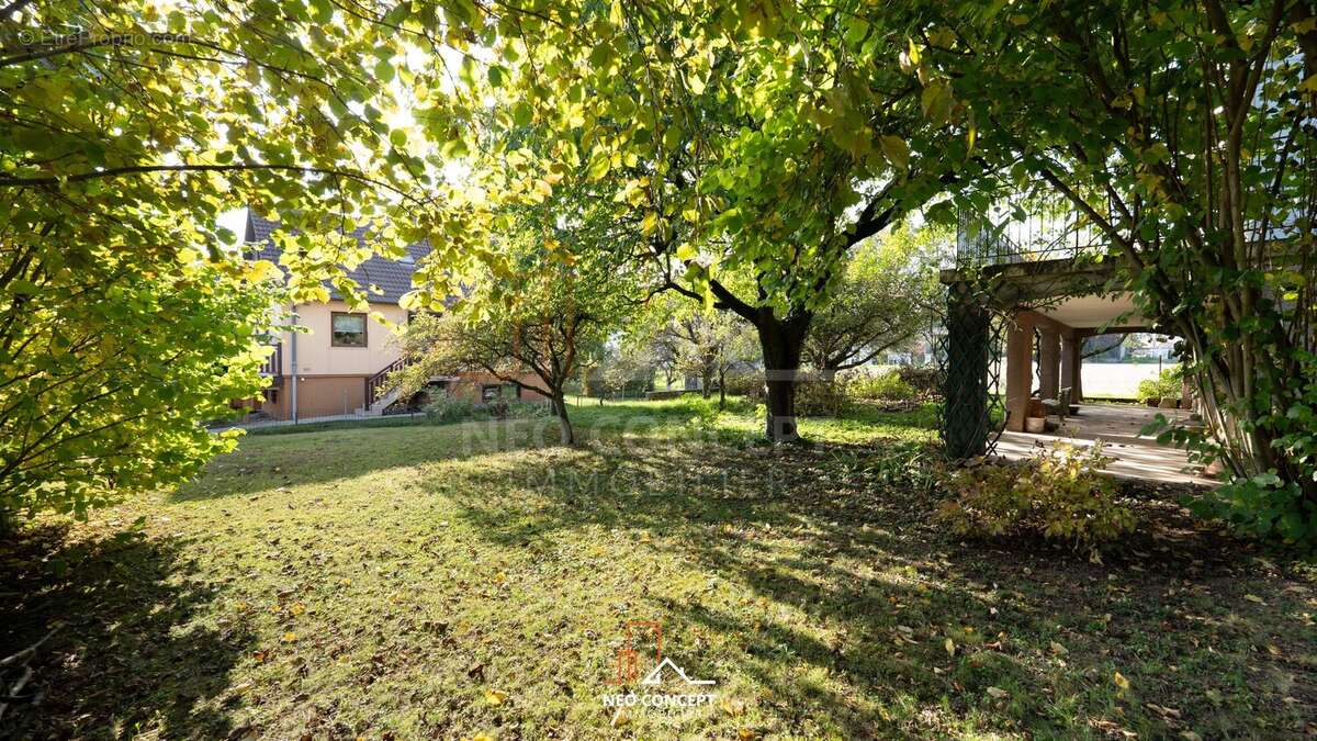 Maison à STUTZHEIM-OFFENHEIM