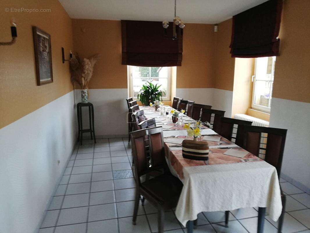 Grande Maison bord de Saône 10 pièce(s) 550 m2  avec terrasse et Parking - photo 5