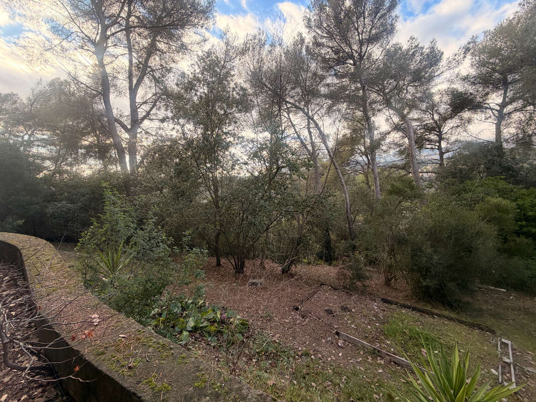 Terrain à SAINT-PAUL