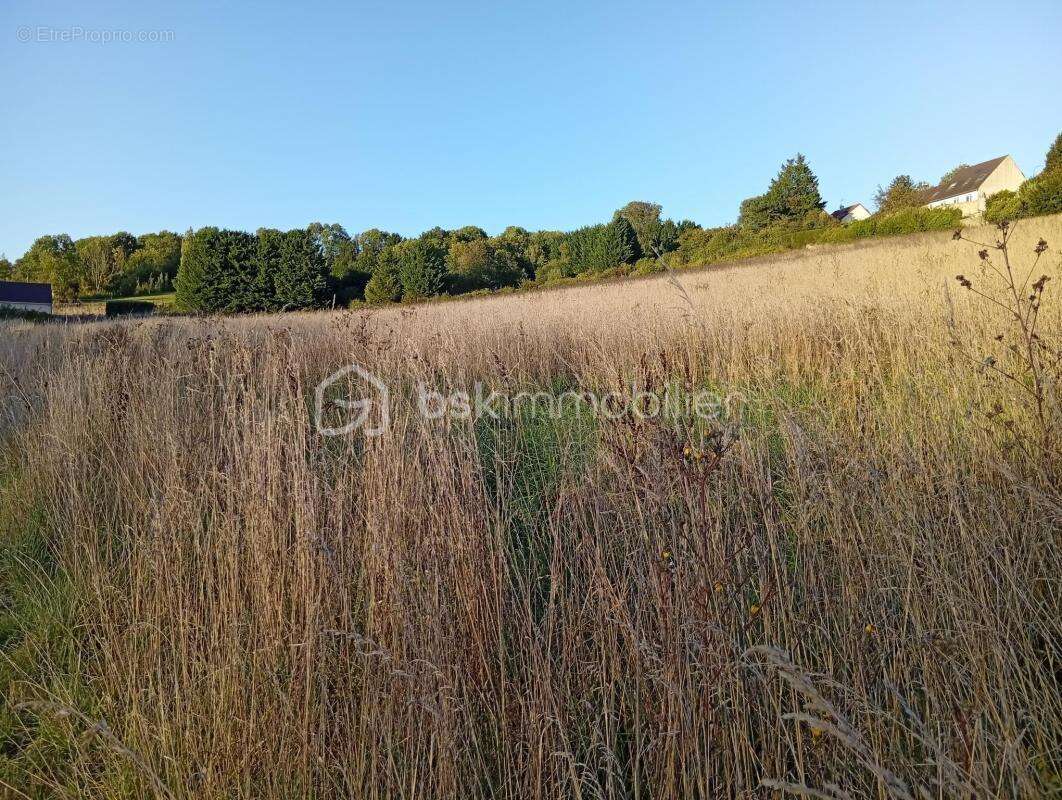 Terrain à SAINTE-GENEVIEVE