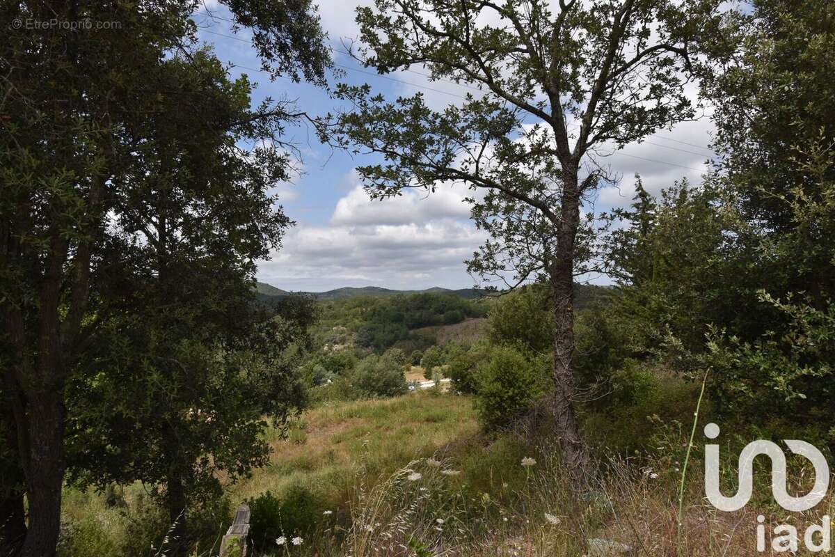 Photo 7 - Terrain à QUINTILLAN