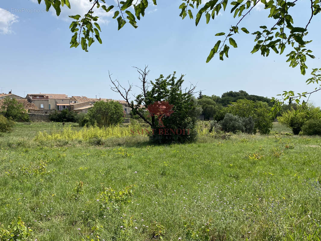 Terrain à MONTPEYROUX